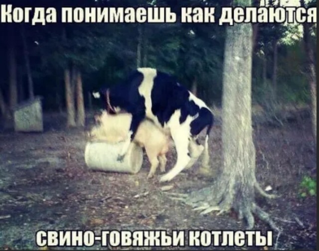 Подеградируем, побаяним... ч.2