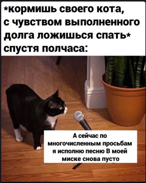 Картинки с надписями и всякие жизненные фразы