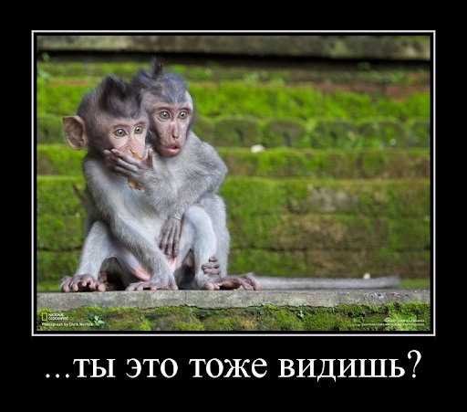 Это перфоманс или инсталляция?