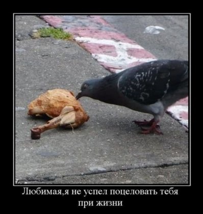 Так себе картинки 29.03.22