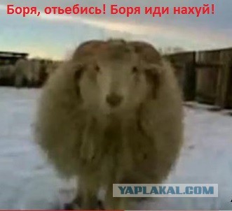 Уже страшно
