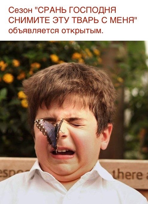 Так себе картинки 18.04.22