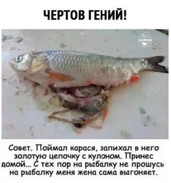 Так себе картинки 08.05.22