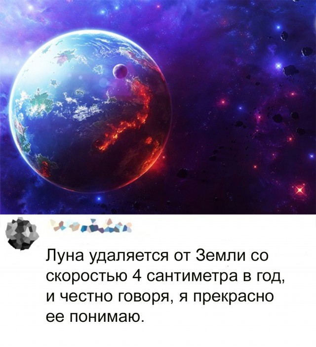 Забавные комментарии из социальных сетей (13.06.22)