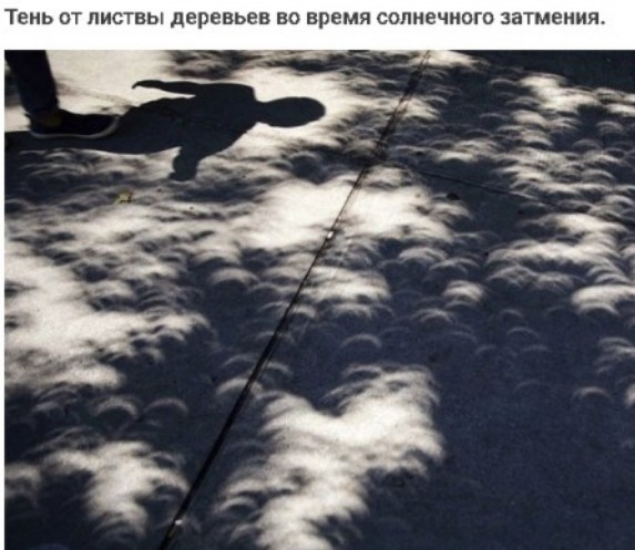 Калейдоскоп картинок