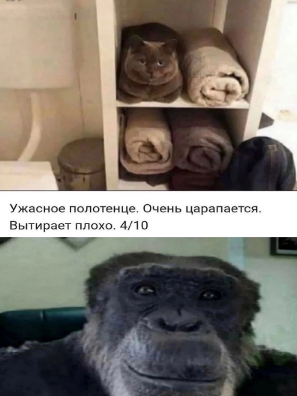 Немного картинок для настроения - 127