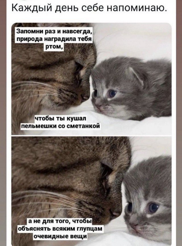 Картинки и мемы для настроения - 119