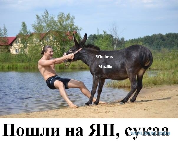 Блин, в какое-же *овно скатывается Windows
