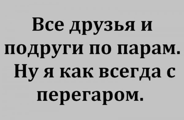Весёлый полтишок 08.07.23