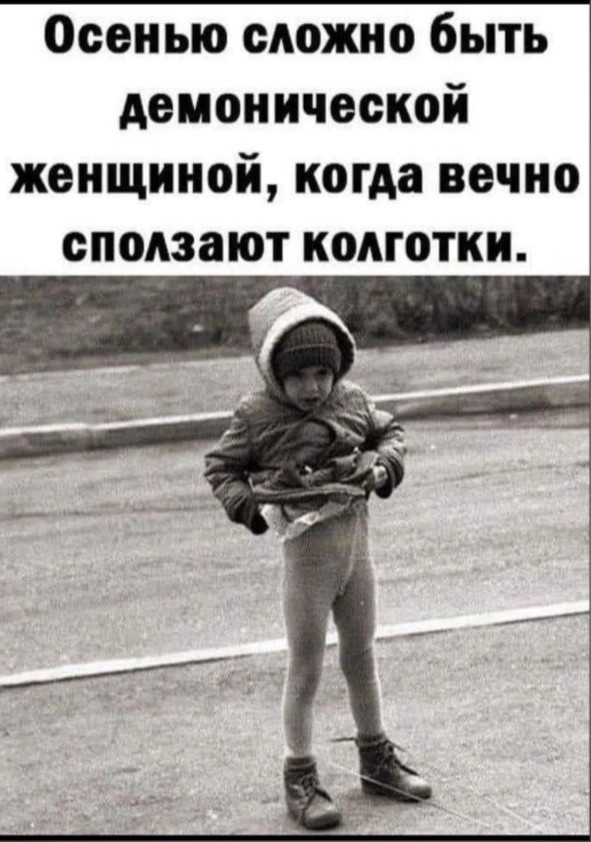 Весёлый полтишок 12.11.23