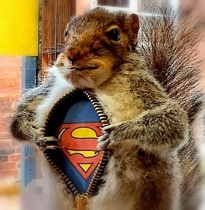 Хоккейные болельщики - они такие!