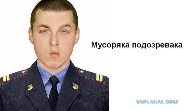 Собака сзади