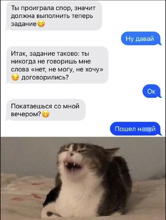 Так себе картинки 28.11.24