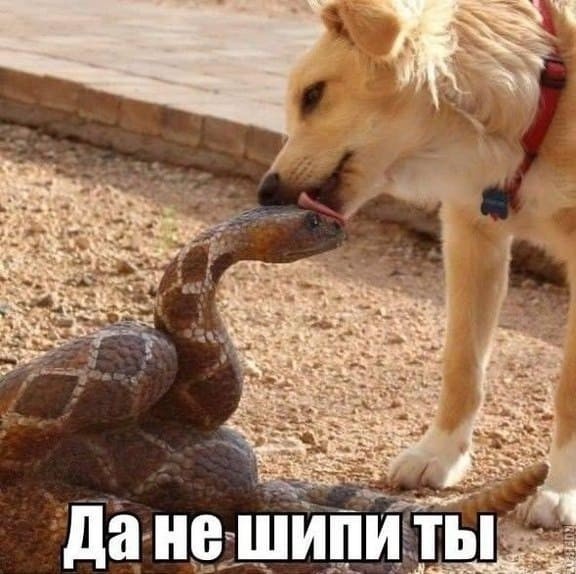 Одинокие женщины наслаждаются жизнью, а холостые мужчины несчастны и сексуально не удовлетворены, - исследование