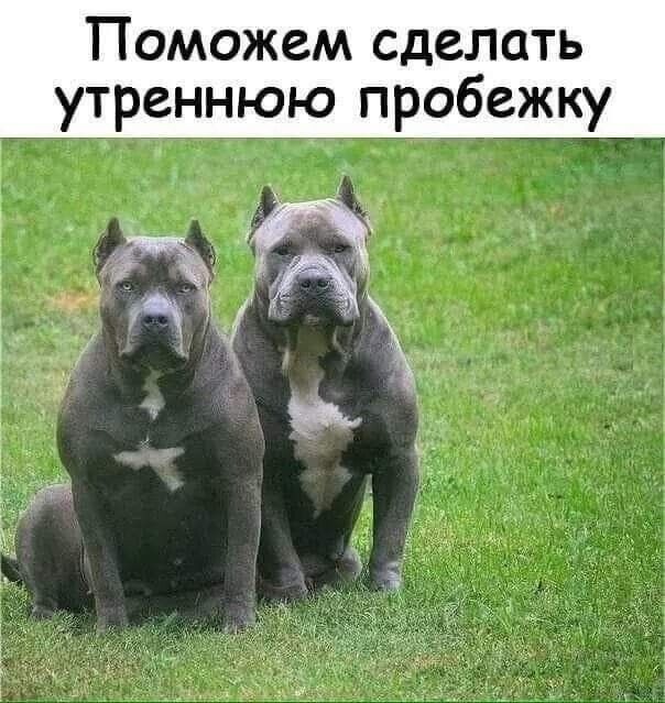 Веселые картинки в маленькую пятницу (12.02)
