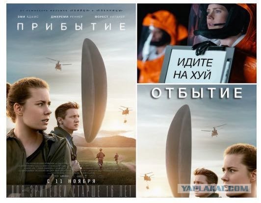 Прилетели?
