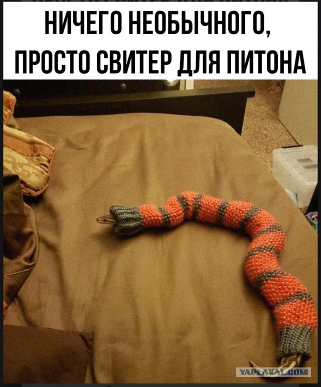 Так себе картинки 11.05.25