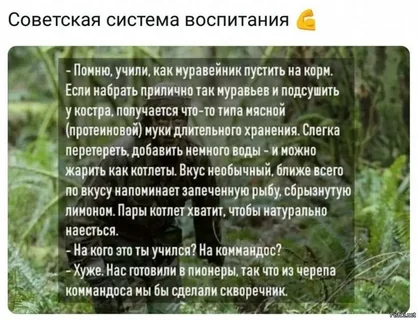 Ездил к дочери в Америку… Что же это получается? Неужели Задорнов был прав?