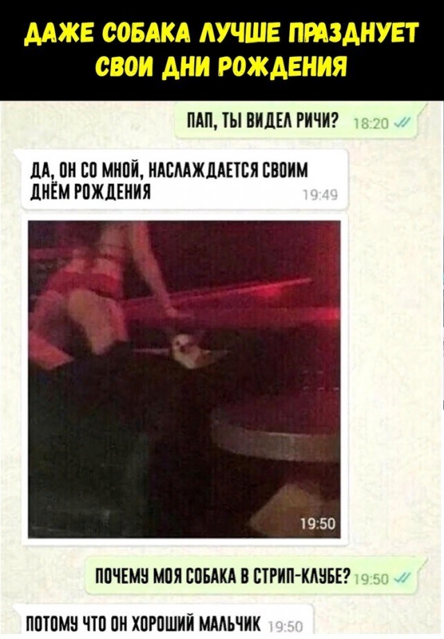 Праздничная дичь. Ударная доза