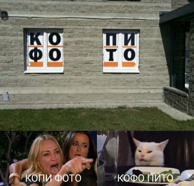 Знаменитый кот