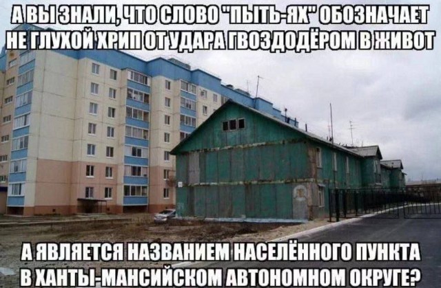 Так себе картинки 02.09.25
