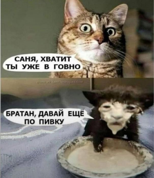 Картинки для деградации 50 (разной степени свежести)