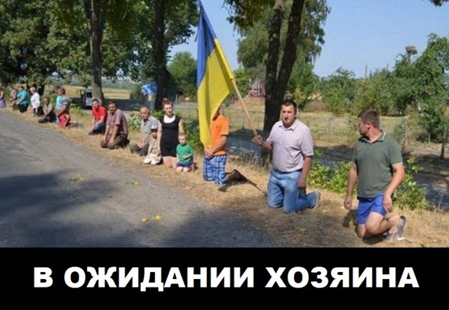 День освобождения Украины от фашистских захватчиков во время Великой Отечественной войны