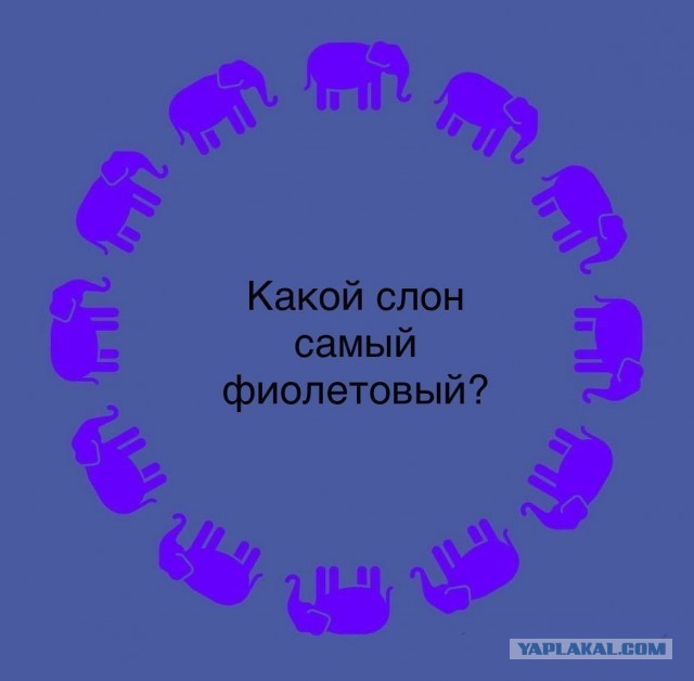 Так себе картинки 11.11.25