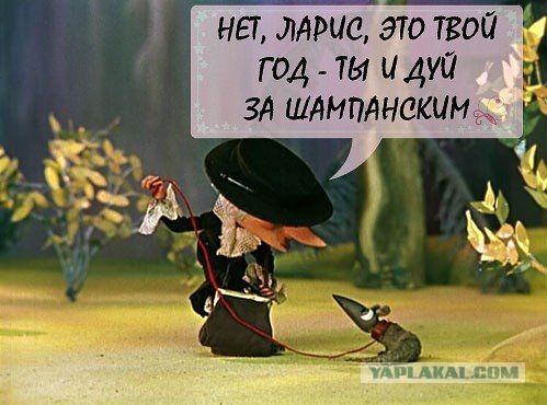 Пенсионерка продала квартиру по «схеме Долиной» сразу двум покупателям в Волгоградской области. Уже можно мошеничество давать?