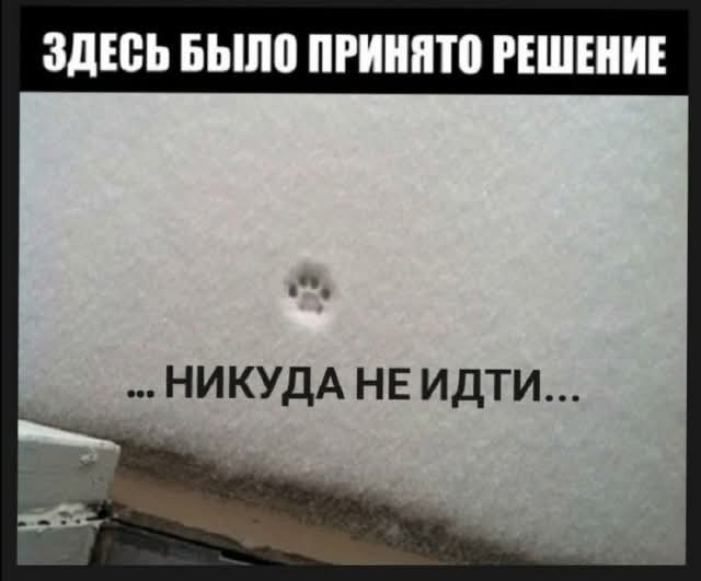 Дегрономикон 8