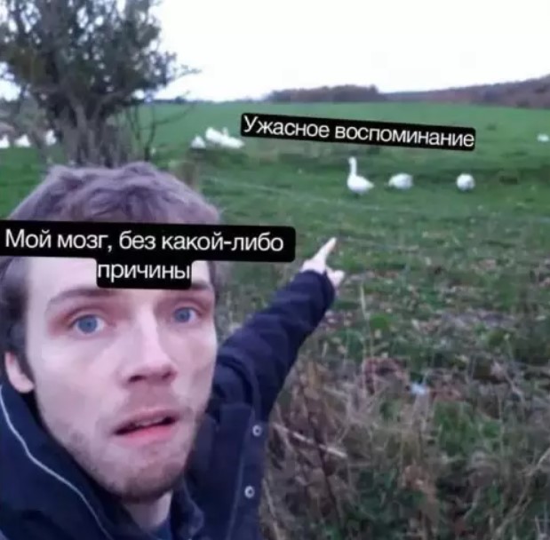 Картиночки, баянчики 20 января