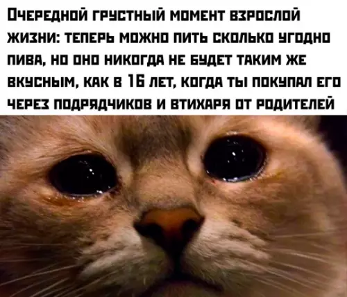 Картиночки, баянчики 17 февраля