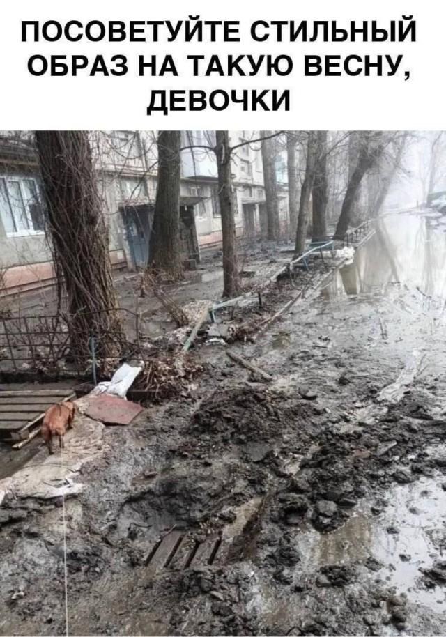 Веселые картинки в понедельник (23.03)