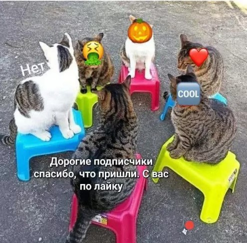 Котямбосы