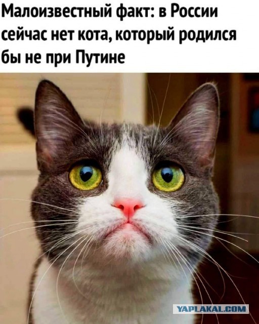 Путин встретился с китайским инженером Пэн Паем, с которым виделся ещё в 2000 году во время первого визита в Китай, когда тот был ребёнком.