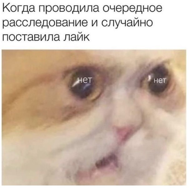 Картиночки, баянчики 07 июня