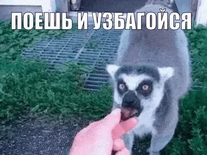 Яркий пример, когда пешеходам пох#й на своё здоровье и жизнь
