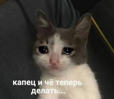 Вареничная. Savannah Bond: мощная и выносливая.