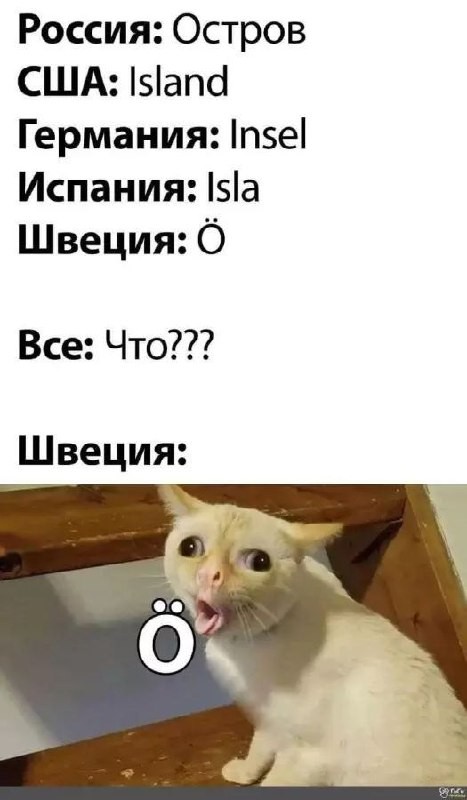 Картинки для деградации 258 ( разной степени свежести)