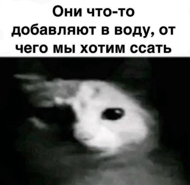 Картинки для деградации 276 (разной степени свежести)