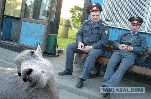 Не покину пост.