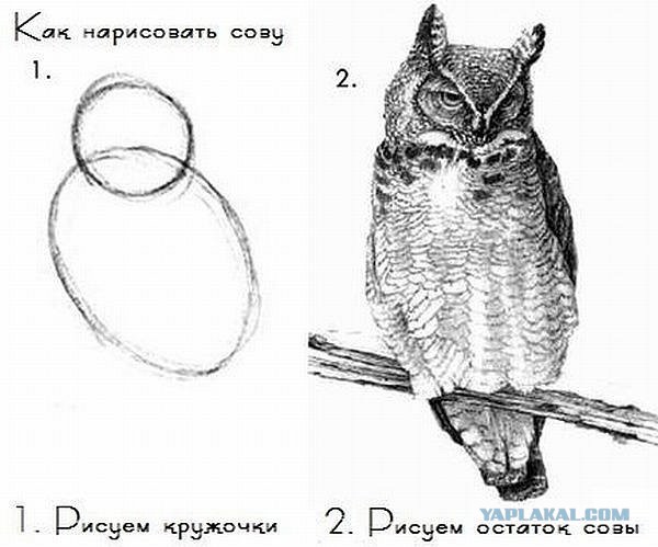 Рисунки моих детей