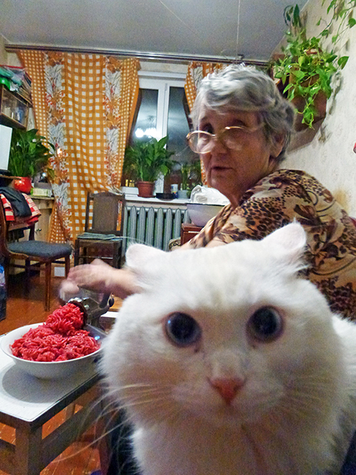 Весёлые картинки. Разбавим будни