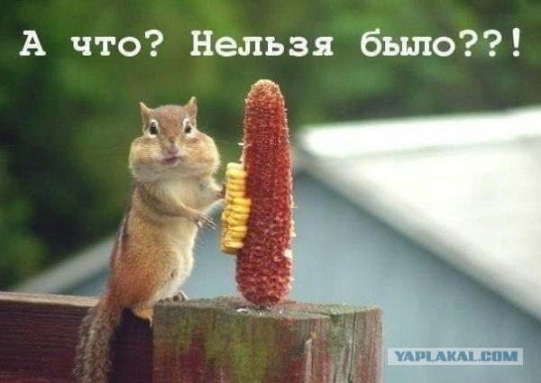 Позитивные картинки