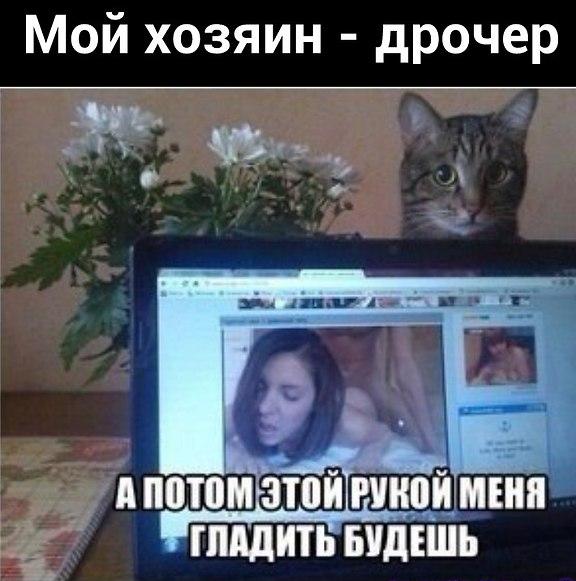 Чутка картинок