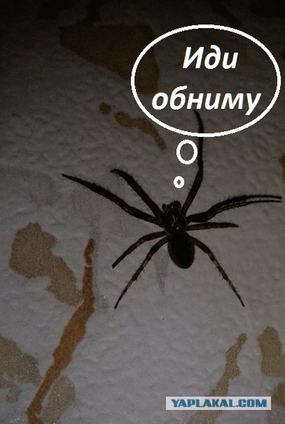 Оно меня не съест?