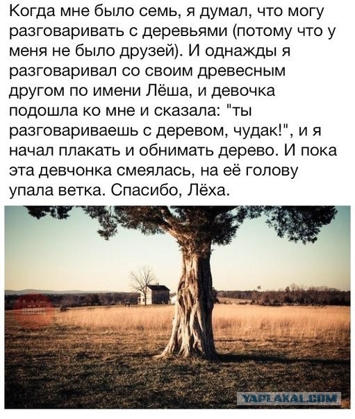 Cмешные баяны