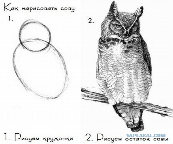 Всадники от рукожопа