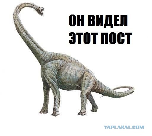 Гифка века