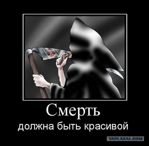Весёлые картинки